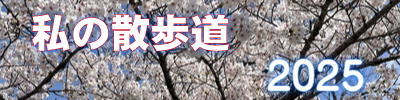 私の散歩道