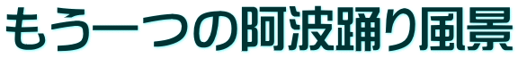 もう一つの阿波踊り風景